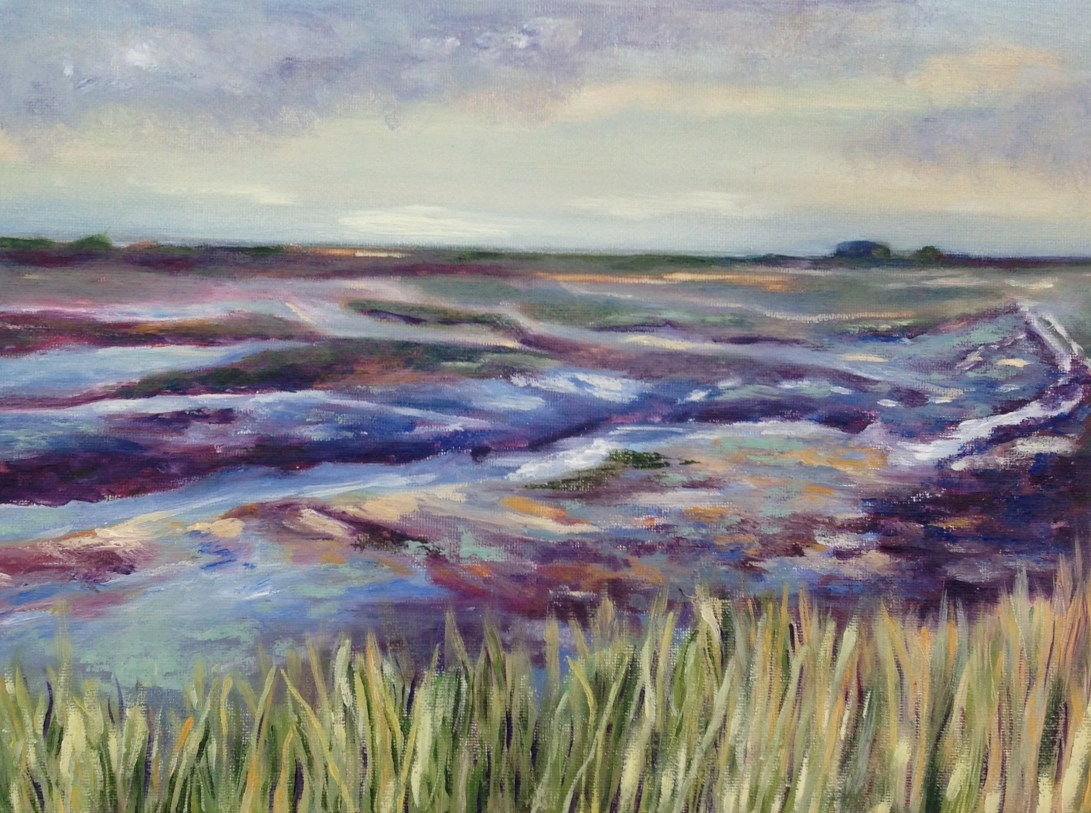 Salt marshes Titchwell