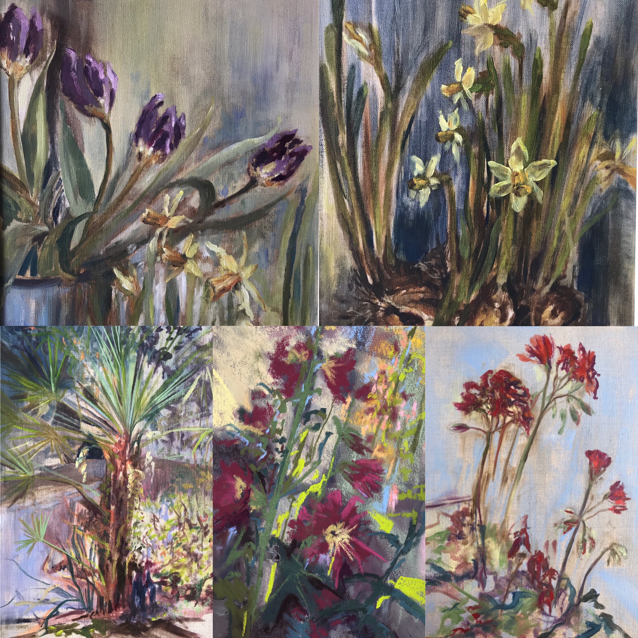 15541907-BD6A-4328-8D7A-F95F8A019353